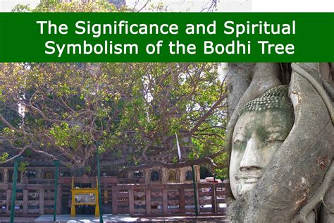 What is the Significance of the Bodhi Tree in Buddhist Art? And How Does It Reflect the Journey of Spiritual Awakening?